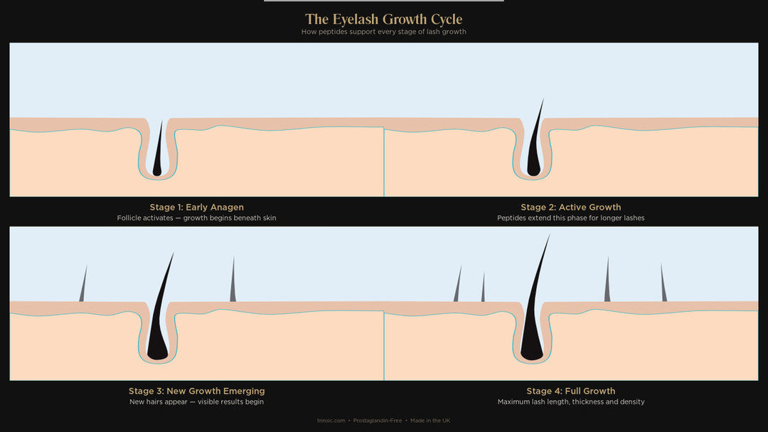Eyelash Growth Serum: How Long Does It Take to See Results?